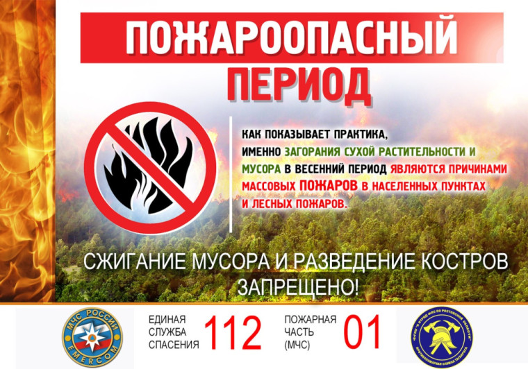 Безопасный пикник.